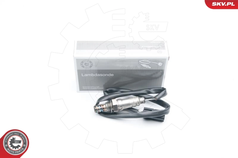 Oxygen Sensor